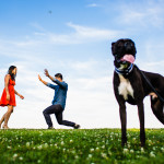 Couple jokes around with their dog during their Belmont Harbor engagement session