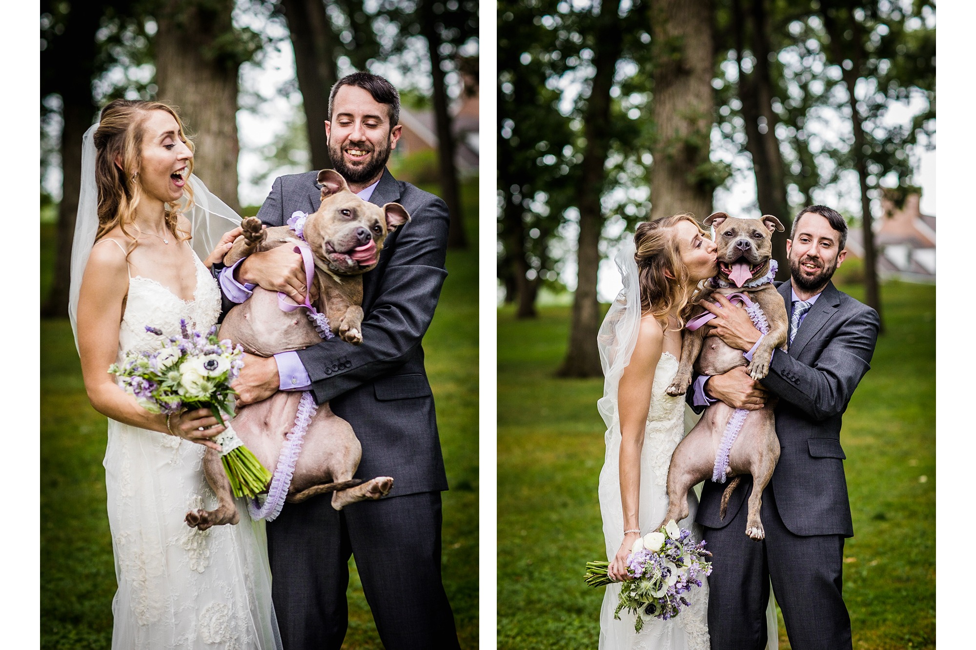 Wedding portraits with a dog at a Katherine Legge Memorial Lodge wedding
