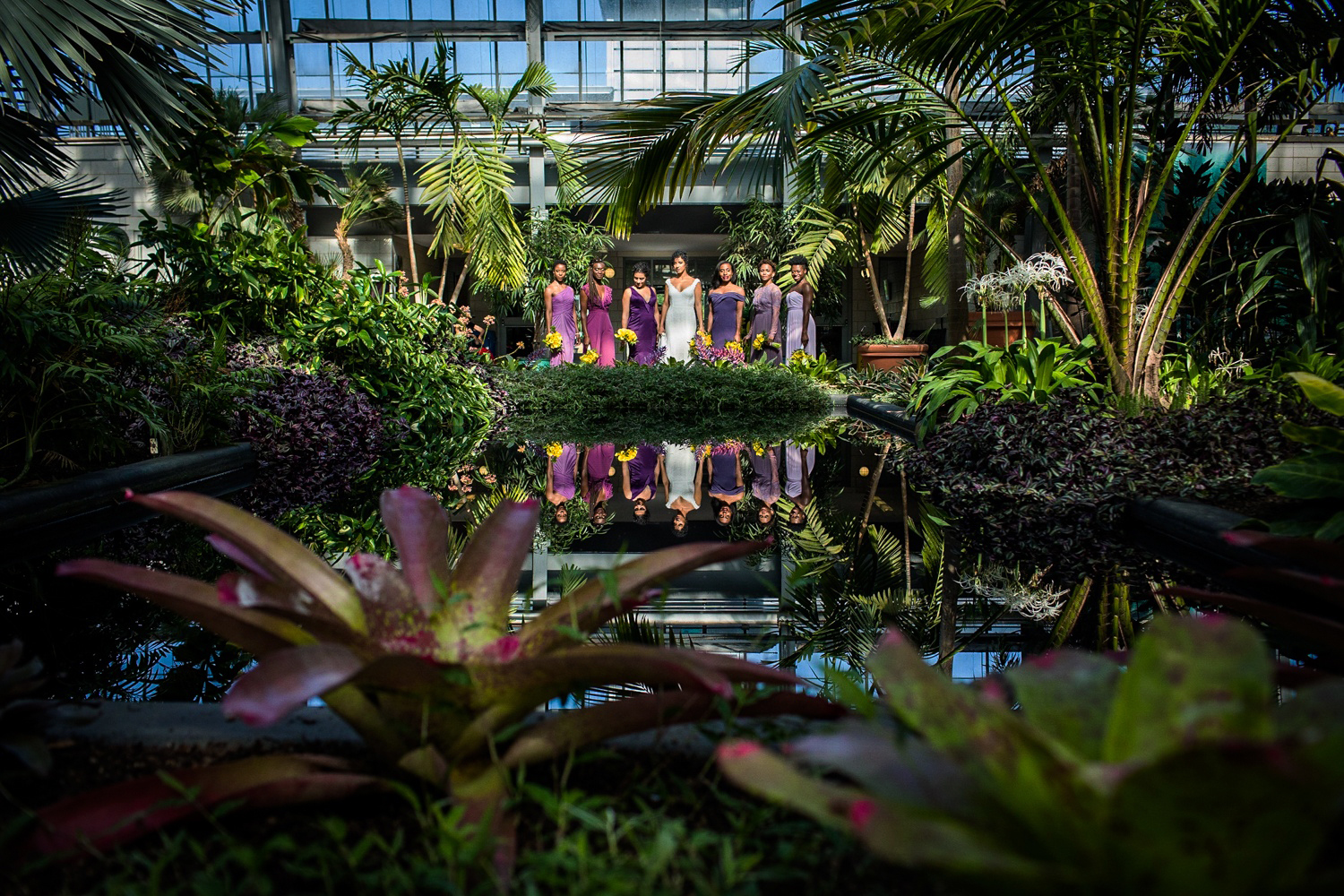 A wedding party portrait at a Garfield Park Conservatory wedding. 