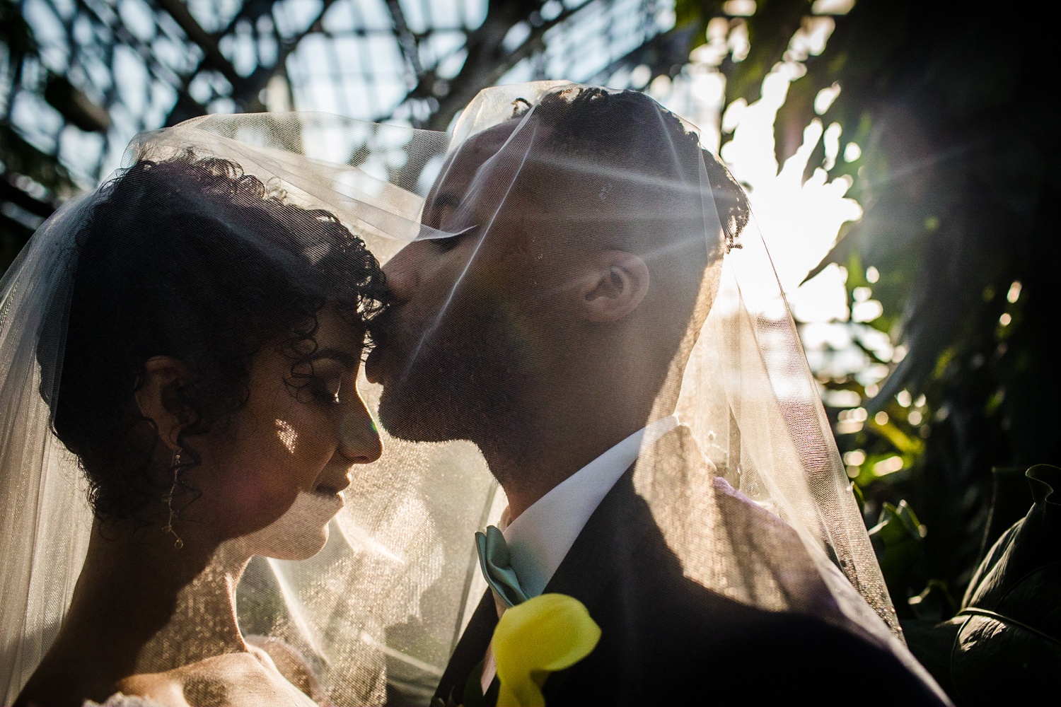 A groom kisses his bride's forehead during their Garfield Park Conservatory wedding.