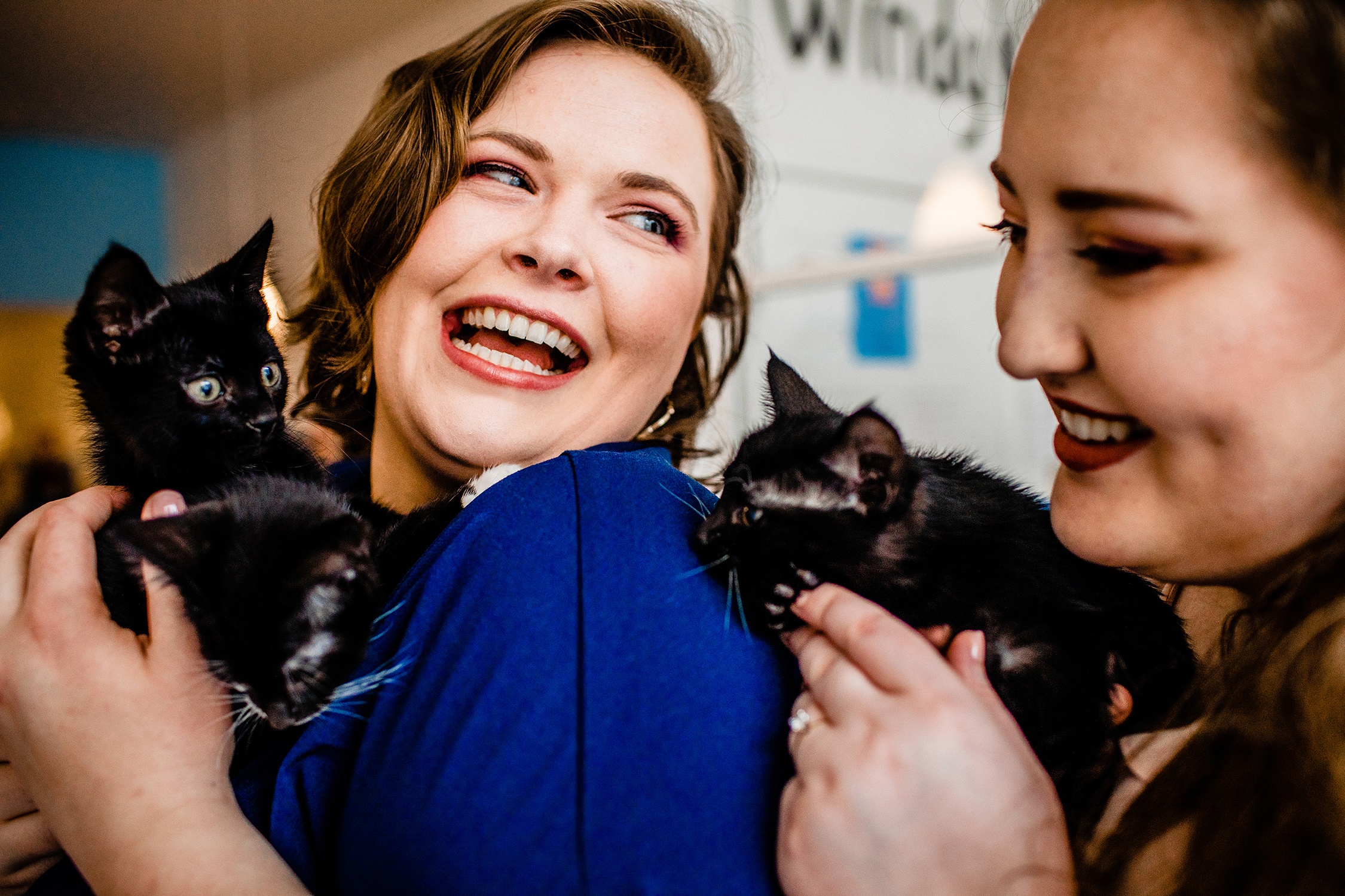 A couple laughs together while holding kittens during a cat cafe engagement session in Chicago.