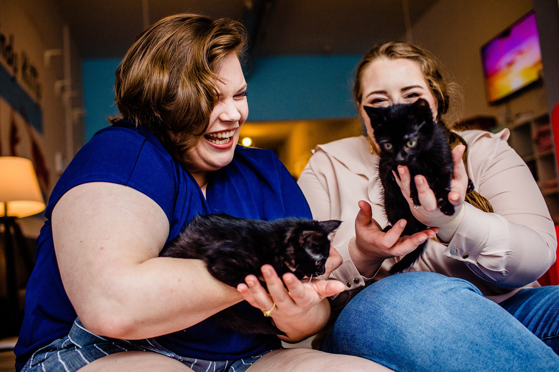 A couple laughs together while holding kittens at Windy Kitty Cat Cafe in Chicago.