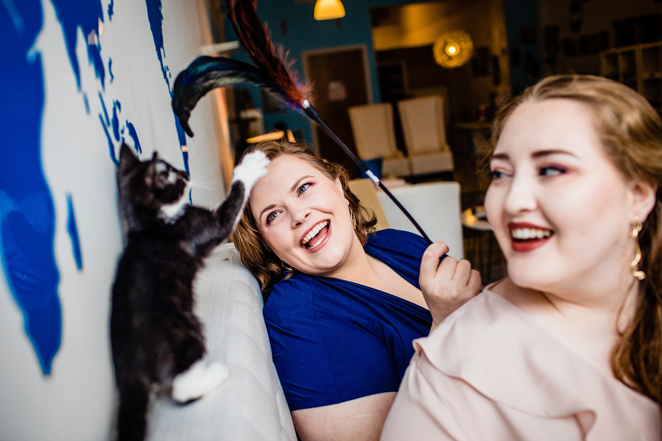 A couple plays with kittens during a cat cafe engagement session in Chicago.